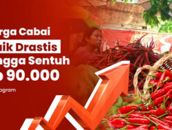 Banyak Warga Kaget, Harga Cabai Hari Ini Naik Tajam hingga Tembus Rp75 Ribu per Kg