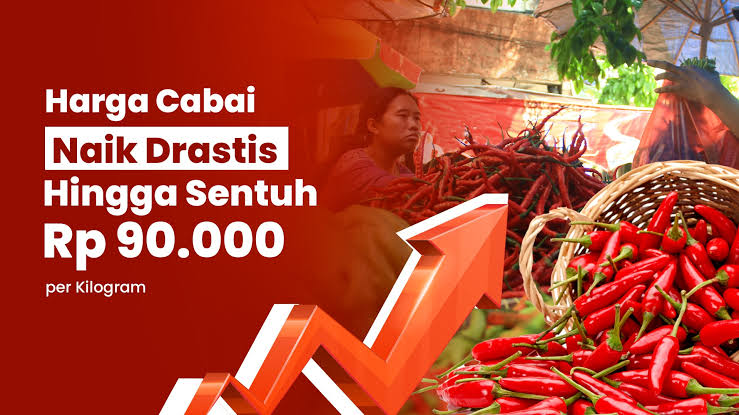 harga cabai naik