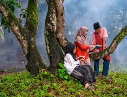 Pengumuman UMPTKIN 2026 Resmi Dirilis, Begini Cara Cek Hasil Kelulusan dengan Mudah